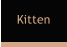 Kitten
