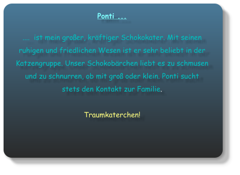 Ponti ... ....  ist mein groer, krftiger Schokokater. Mit seinen ruhigen und friedlichen Wesen ist er sehr beliebt in der Katzengruppe. Unser Schokobrchen liebt es zu schmusen und zu schnurren, ob mit gro oder klein. Ponti sucht stets den Kontakt zur Familie.  Traumkaterchen!